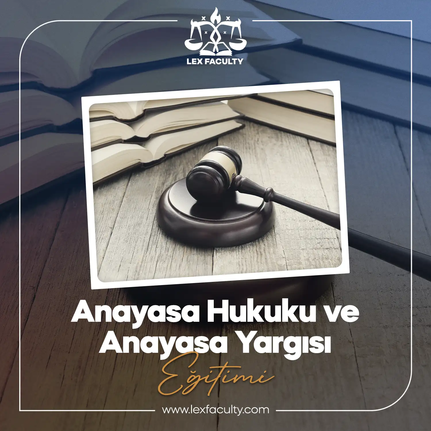 Anayasa Hukuku ve Anayasa Yargısı (Offline)